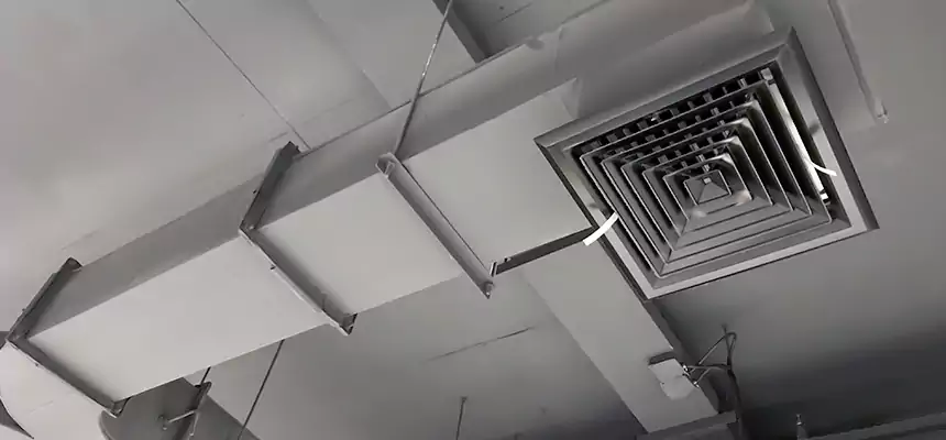 Restorative Allergy Relief Vent Cleaning – Coil, Blower & Housing Detail in Levittown