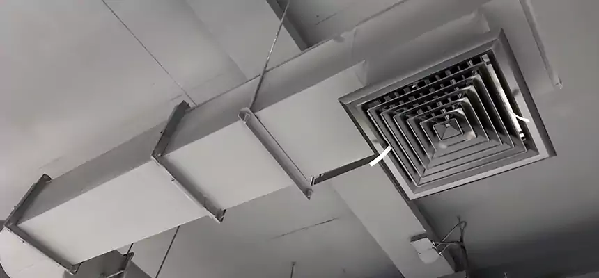 Our Pest Removal From Ducts Services in Levittown, NY