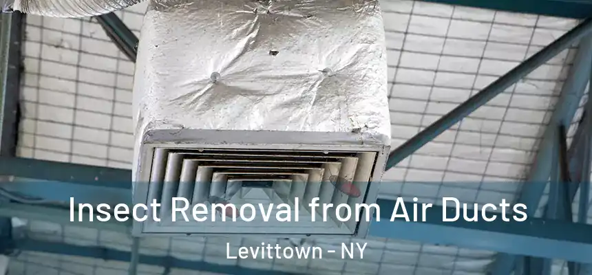  Insect Removal from Air Ducts Levittown - NY