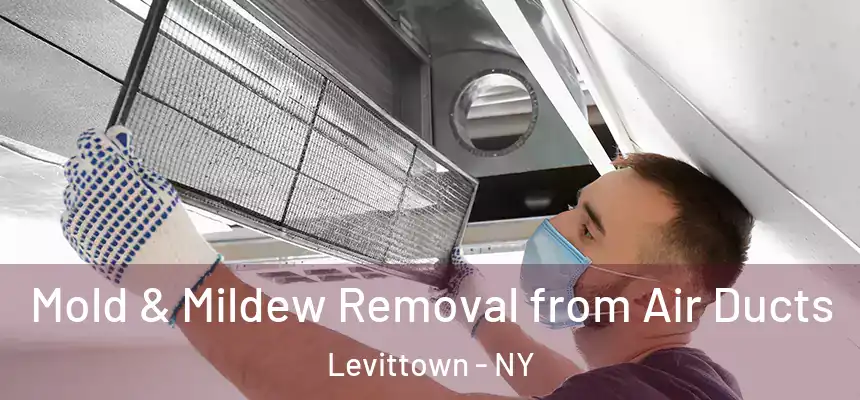  Mold & Mildew Removal from Air Ducts Levittown - NY