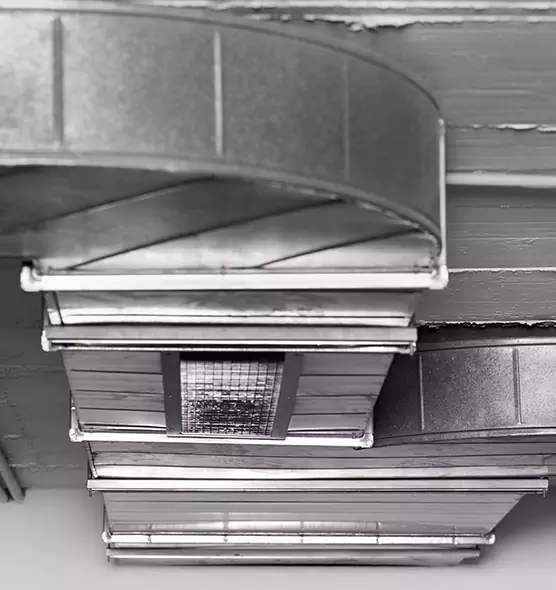 Professional Air Duct Pest Removal in Levittown, NY