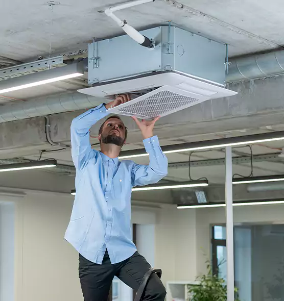 Advanced Rodent Droppings In Vents in Levittown, NY